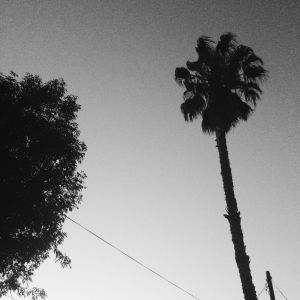 Black-and-white June in Los Angeles. 