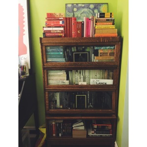 English majors are very proud of their bookshelves.